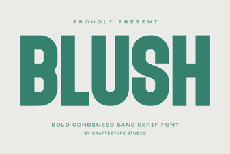 Blush Font: Creative Typography for Your Design Projects